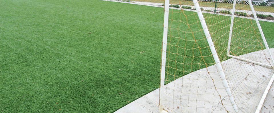 cushioned artificial turf field